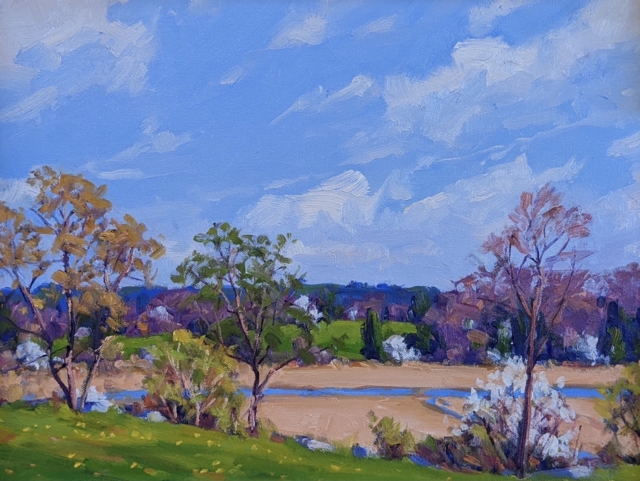 Across the Marsh