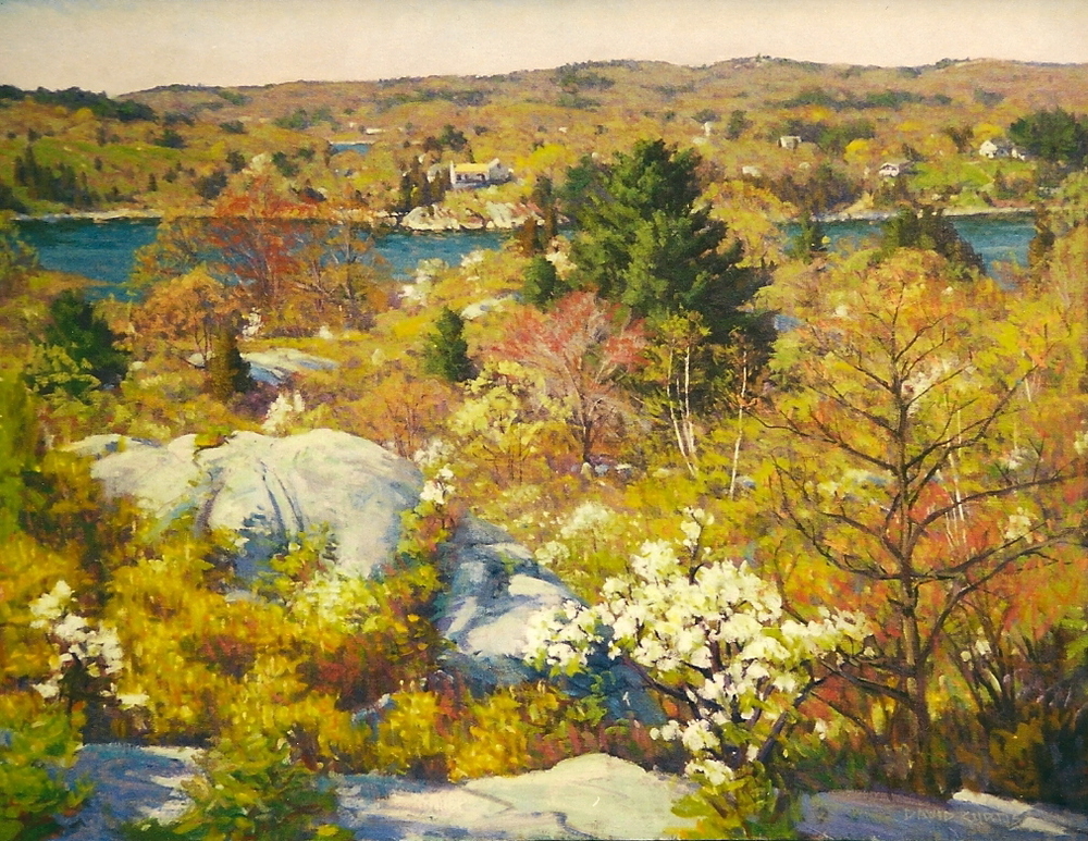 David P. Curtis - Landscapes - Spring