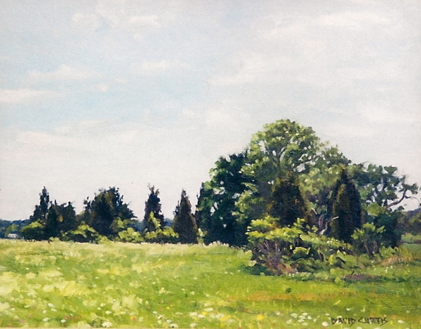 Spring Meadow