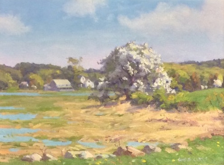 Spring Tides 9 x 12 oil on canvas David P Curtis