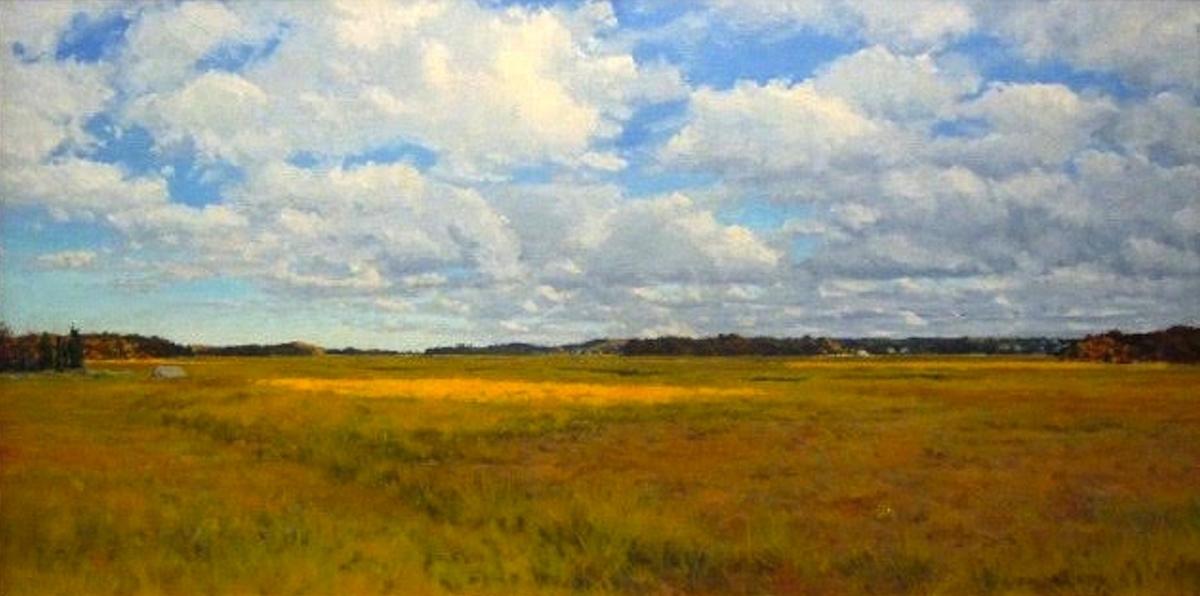 Window on the Marsh 20x40 oc